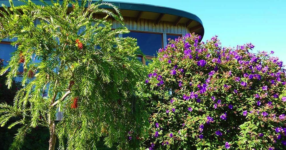 The Boomerangs At Johanna On The Great Ocean Road Exterior photo